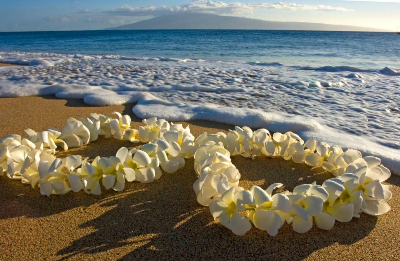 Upscale Penthouse With Ocean Views - Free Parking Lejlighed Honolulu Eksteriør billede